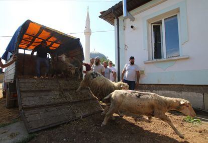 Tártaros de Crimea preparan el sacrificio ritual durante una festividad musulmana, el 31 de julio.