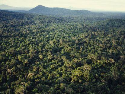 La Amazonia, desde una vista aérea.