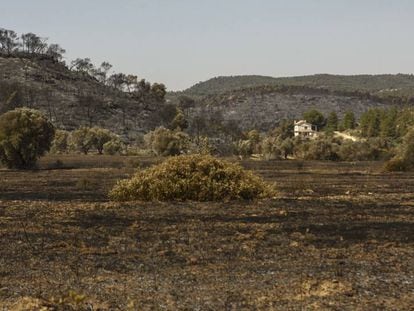 Los efectos del incendio en la Ribera del Ebre, Garrigues y Segrià.