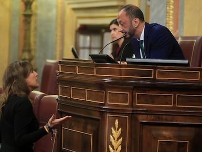 El vicepresidente primero del Congreso, Alfonso Rodríguez Gómez de Celis, conversa con la diputada de Vox Patricia Rueda, durante la intervención de esta en el pleno del Congreso, este martes.