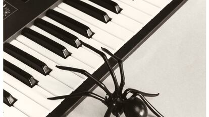 'Sin título', fotografía de Chema Madoz.