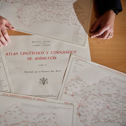 Mapa del Estudio del habla andaluza de la Universidad de Granada.