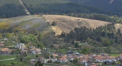 Imagen de un monte de pinos cortado con la técnica de “tala rasa” en Vilar de Barrio (Ourense).
