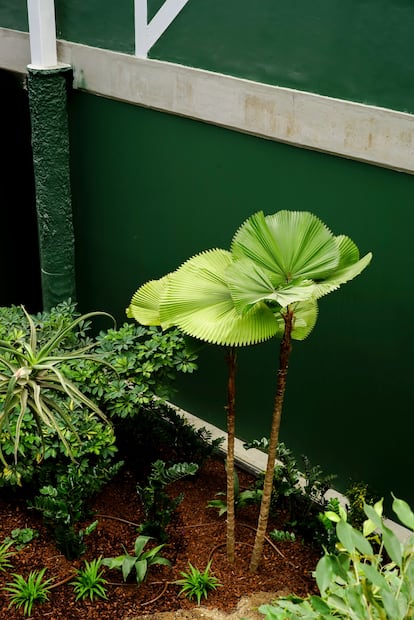 Detalles del jardín interior del Colegio Reggio.