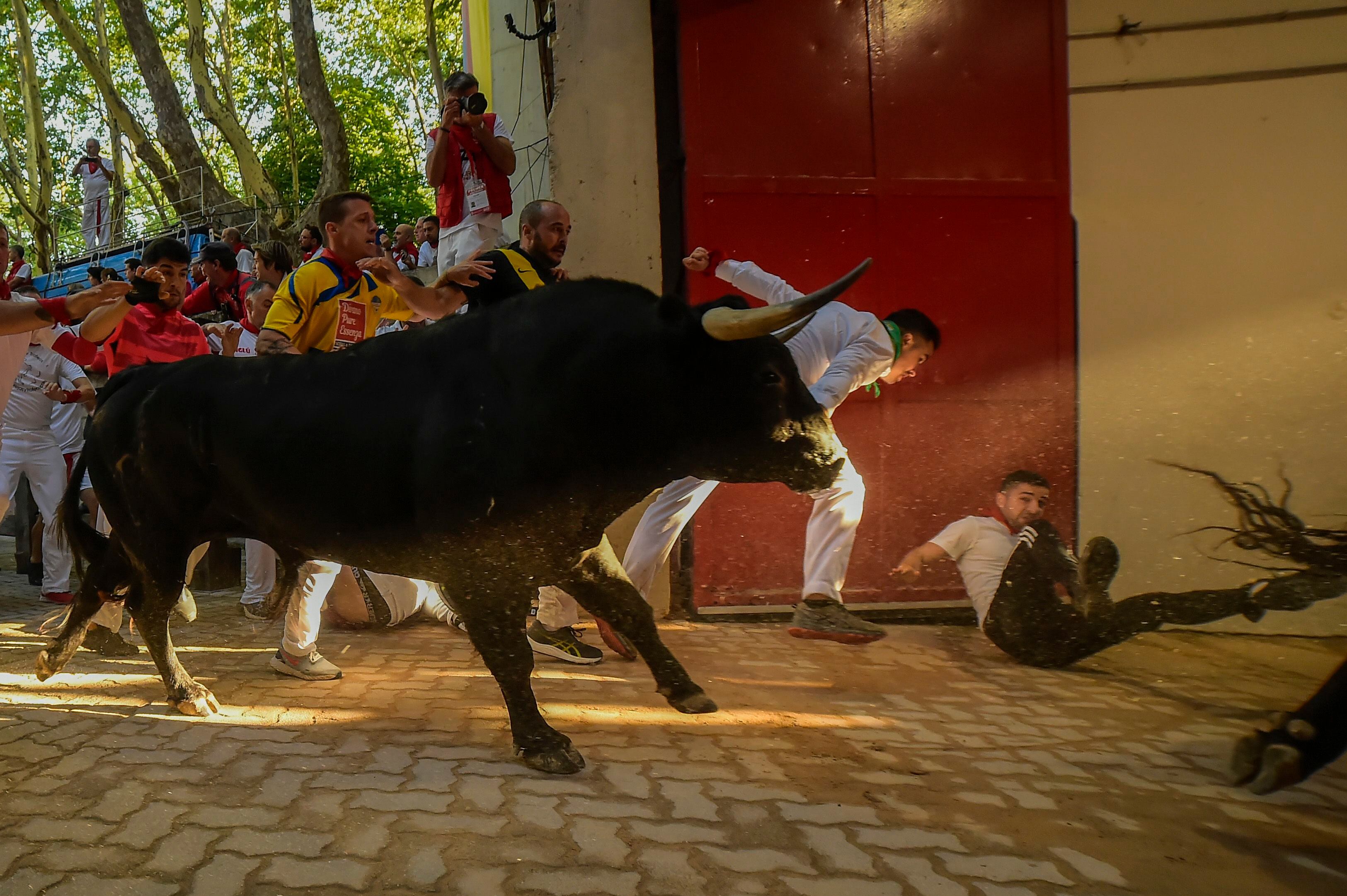 Uno de los astados a su llegada a la plaza de toros de Pamplona. 