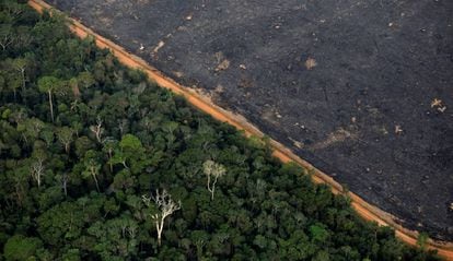 Efectos de la deforestación en la Amazonía brasileña, cerca de Porto Velho.