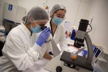 Dos científicas de BioTech Foods investigan sobre carne cultivada en un laboratorio de la empresa vasca.