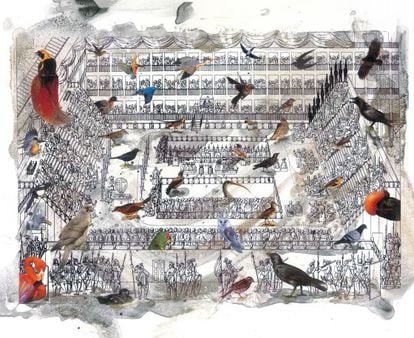 Ilustración de Frederic Amat para 'Las virtudes del pájaro solitario'.