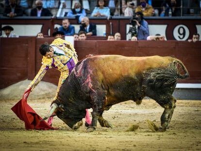 Emilio de Justo y el toro de Domingo Hernández al que cortó las dos orejas el pasado 2 de octubre en Las Ventas.
