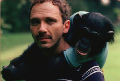 El profesor Herbert Terrace se propuso en 1973 educar al chimpanc&eacute; Nim como un ser humano.