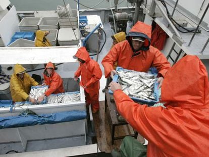 Pescadores de Barbate, en la provincia de Cádiz, descargan en el muelle de la localidad.