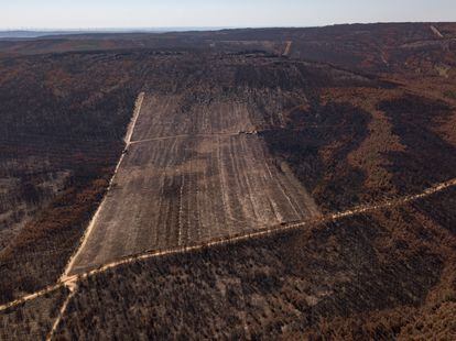 Vista general de varias hectáreas arrasadas por un incendio en la sierra de la Culebra, en Zamora. La imagen fue tomada el martes.