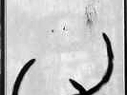 b sin nº (1968) -repro- Gota d´aigua damunt la neu rosa, Joan Miró.