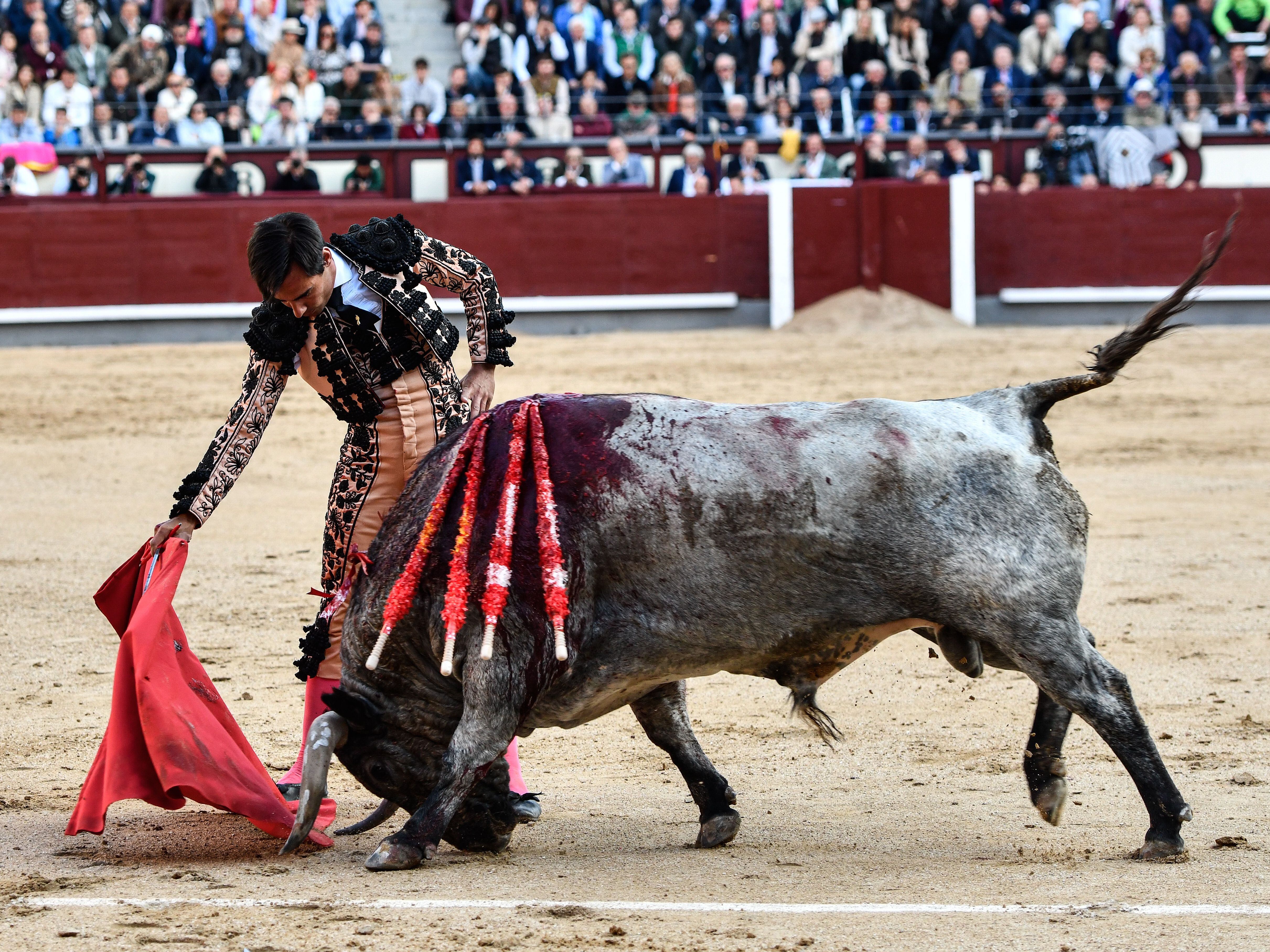 Las Ventas abre sus puertas este domingo con los toros de Cuadri