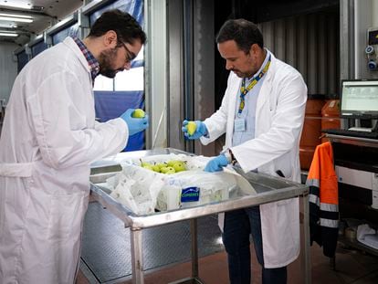 Dos inspectores revisan la carga de un camión de frutas en el Puesto de Control Fronterizo en el Puerto de Algeciras, este pasado viernes.