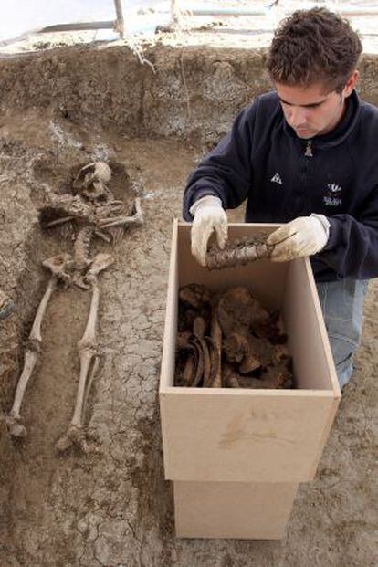Restos de fusilados de la Guerra Civil, en un cementerio de Málaga.