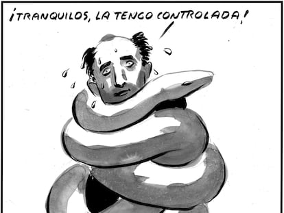 El Roto