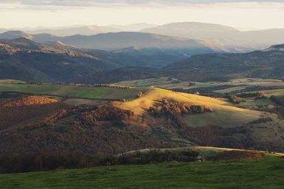 La Selva de Irati (www.selvadeirati.com) está formada por tres pequeñas reservas naturales: Lizardoia, Mendilaz y Tristuibartea. De ellas, Lizardoia, en el monte La Cuestión, es la mancha de bosque mejor conservada. Nunca fue explotada por el hombre y por eso abundan aquí hayas y abetos de más de 40 metros de altura. La mejor manera de conocerla es adentrarse a través de la pista que bordea el embalse de Irabia, desde las inmediaciones de la Real Fábrica de armas de Orbaizeta hasta la ermita de Nuestra Señora de las Nieves, en el corazón del bosque. En el Centro de Interpretación de la Naturaleza de Ochagavía se puede obtener toda la información necesaria sobre estos parajes.