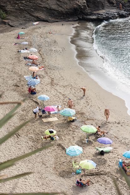 Nudism loses ground on the beaches - The Limited Times