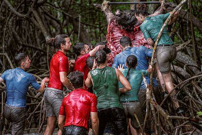 Varios concursantes del 'reality' 'El conquistador del Caribe' (ETB)  intentaban arrancar con la boca trozos de un cerdo en el "desafío caníbal".