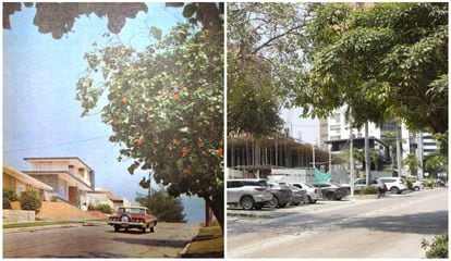 (Izquierda) Foto de archivo de una calle del barrio Alto Prado,  (derecha) misma calle hoy en día.