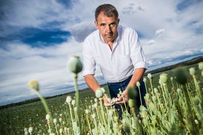 El ingeniero agrónomo Ildefonso Alonso, gestor de un cultivo legal de hasta 40 hectáreas de adormidera en Malpica de Tajo (Toledo).