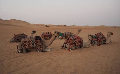 Las excursiones al bonito desierto de dunas se han convertido en un producto turístico.