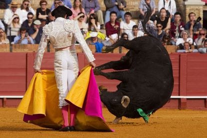 El toro da una voltereta mientras realiza un quite López Simón.