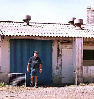 El encargado de la granja de Labordeta, en Lleida, a la espera de nuevos sacrificios.
