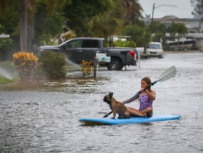 Lily Gumos, de 11 años, navega en kayak con su bulldog francés en St. Pete Beach, Florida, después del paso del huracán Idalia.