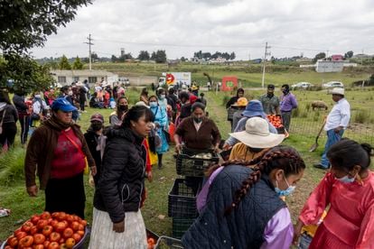 El Banco de Alimentos de México, una organización que suministra alimentos básicos a comunidades vulnerables en más de 20 Estados del país, dona comida en El Quelite, Estado de México, el pasado 27 de junio de 2022.