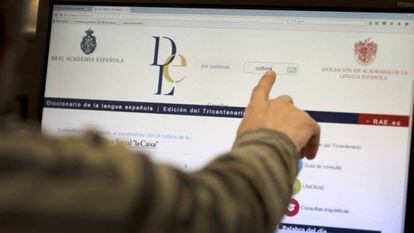 Un usuario busca en la página web de la RAE.