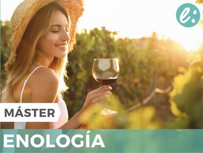 ¿Quieres saber todo sobre vinos? ¡Con este máster te convertirás en un experto del vino!