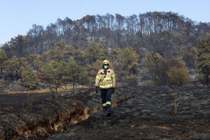 Un bombero estudia el terreno en Santa Coloma de Queralt (Tarragona), donde un incendió devastó en verano de 2021  más de 1.500 hectáreas.