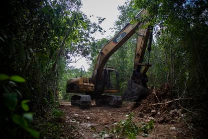 An excavator opens the way for the construction of the Mayan Train in the Leona Vicario ejido, in Quintana Roo, in May of this year.