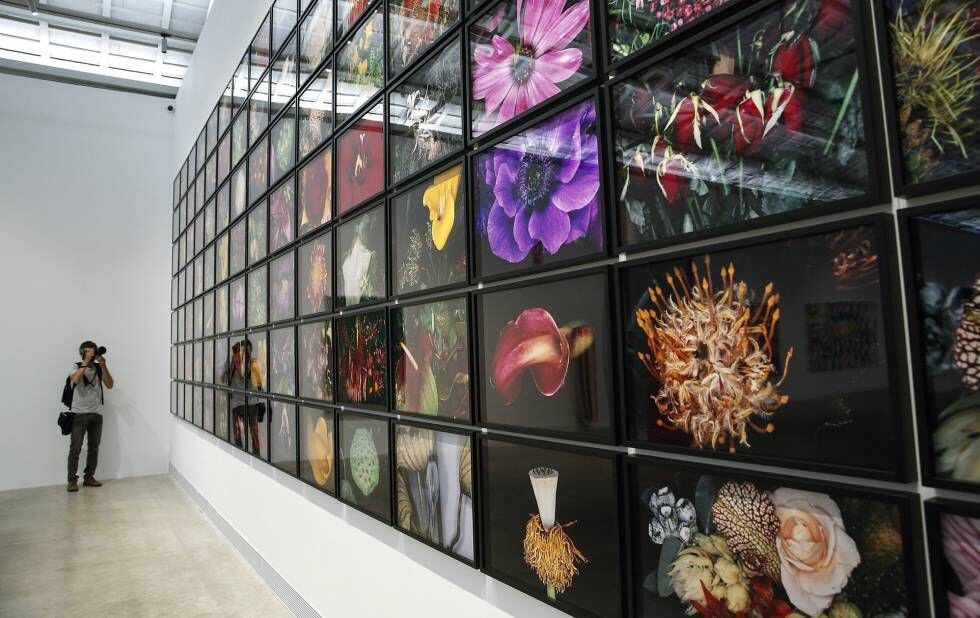 'Flower Rondeau', una serie de 119 fotografías de flores (la fundación tiene 20 más) del japonés Nobuyoshi Araki.