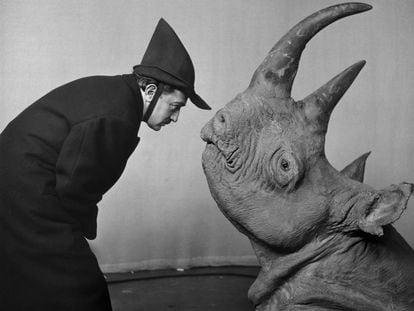 Dalí frente a una cabeza de rinoceronte disecada, en un programa de la televisión CBS, en 1956.
