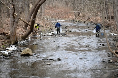 Trabajadores retiran peces muertos de un río cercano a East Palestine.