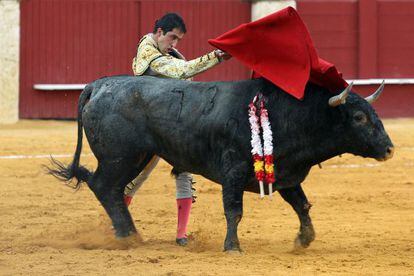 El torero Javier Casta&ntilde;o durante su segundo toro en la corrida de toros de la Feria de Agosto, en la Plaza de Toros de La Malagueta.
 