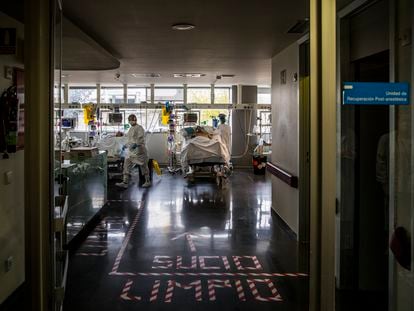 Unidad de cuidados intensivos (UCI) en el Hospital de la Paz, durante la primera ola del coronavirus.