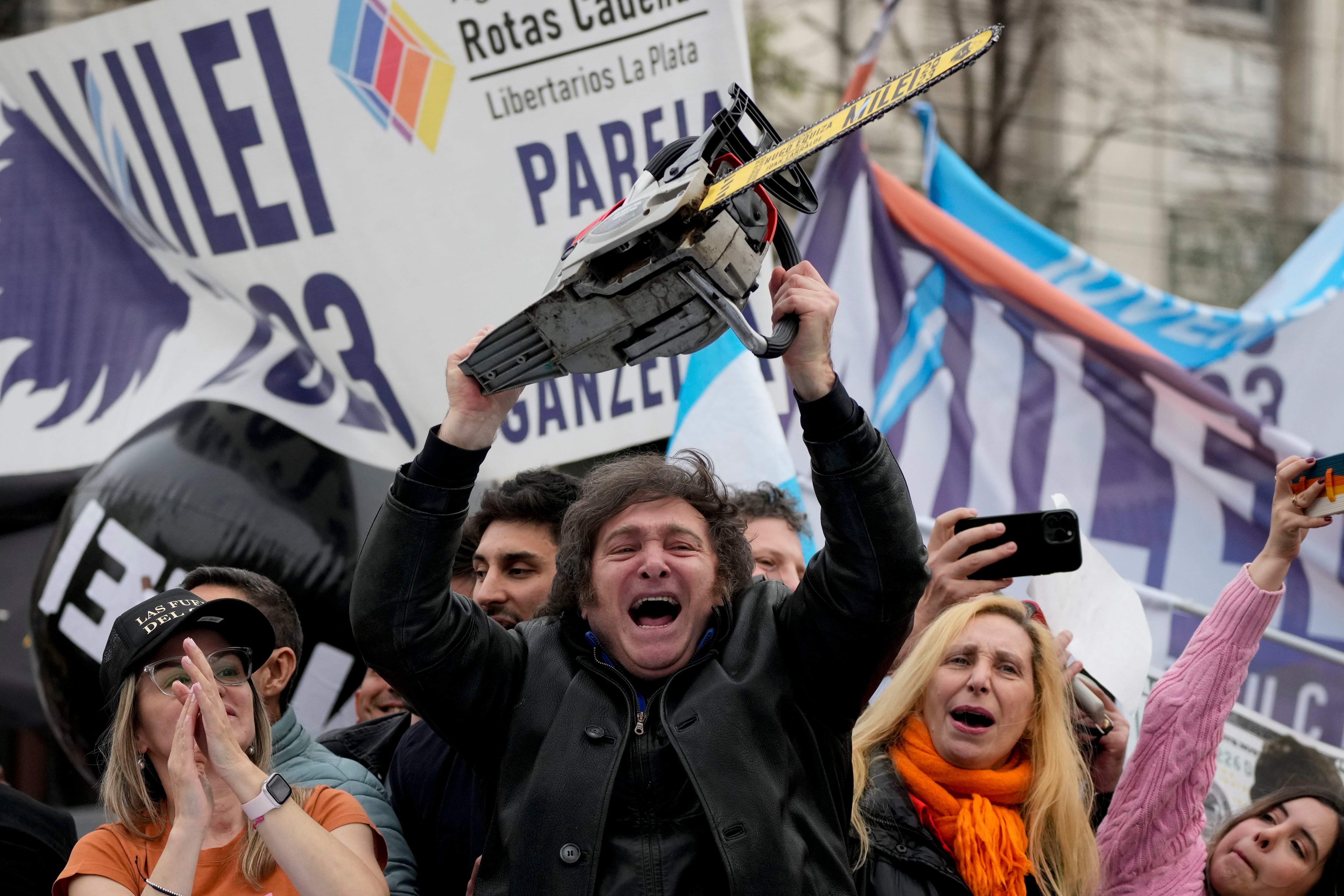 Milei, una motosierra contra la educación y la cultura