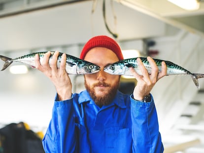 En qué hay que fijarse para que no te cuelen como fresco un pescado que lleva días en el congelador