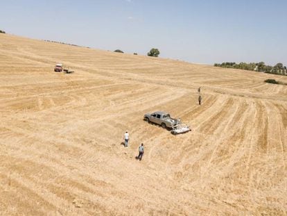 La zona de Jerez de la Frontera donde se realiza en trabajo de investigación.