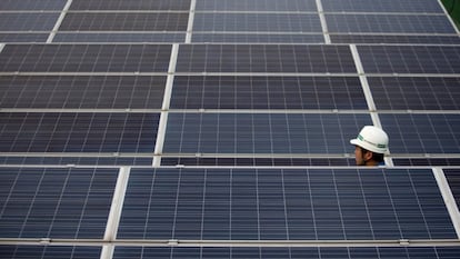 Un técnico observa varios paneles de energía solar.