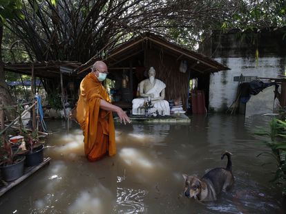 Un monje budista tailandés y un perro vadean a través del agua de una inundación por la tormenta tropical Dianmu en la comunidad de Koh Kret, Bangkok, Tailandia, el 5 de octubre de 2021.