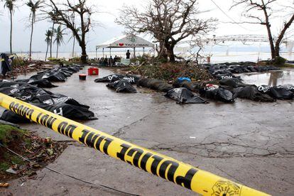 Muchos de los cuerpos de las víctimas mortales del tifón permanecen en bolsas a la espera de su traslado.
