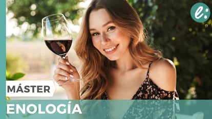 ¿Quieres saber todo sobre vinos? ¡Con este máster te convertirás en un experto del vino!
