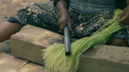 Una de las mujeres de Silät machuca hojas de la planta chaguar para hacer las fibras con las que bordan.