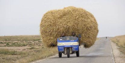 Un carro transporta heno en las zonas de pastoreo de Erdi, en Qinghai. El deterioro de los pastos ha obligado a los pastores a comprar forraje extra para alimentar a sus animales.