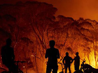 Las llamas ya han arrasado cinco millones de hectáreas y han causado la muerte de 13 personas en lo que va de año